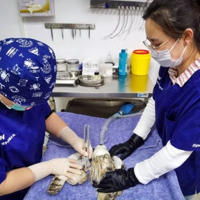 Onboard your new veterinarian.