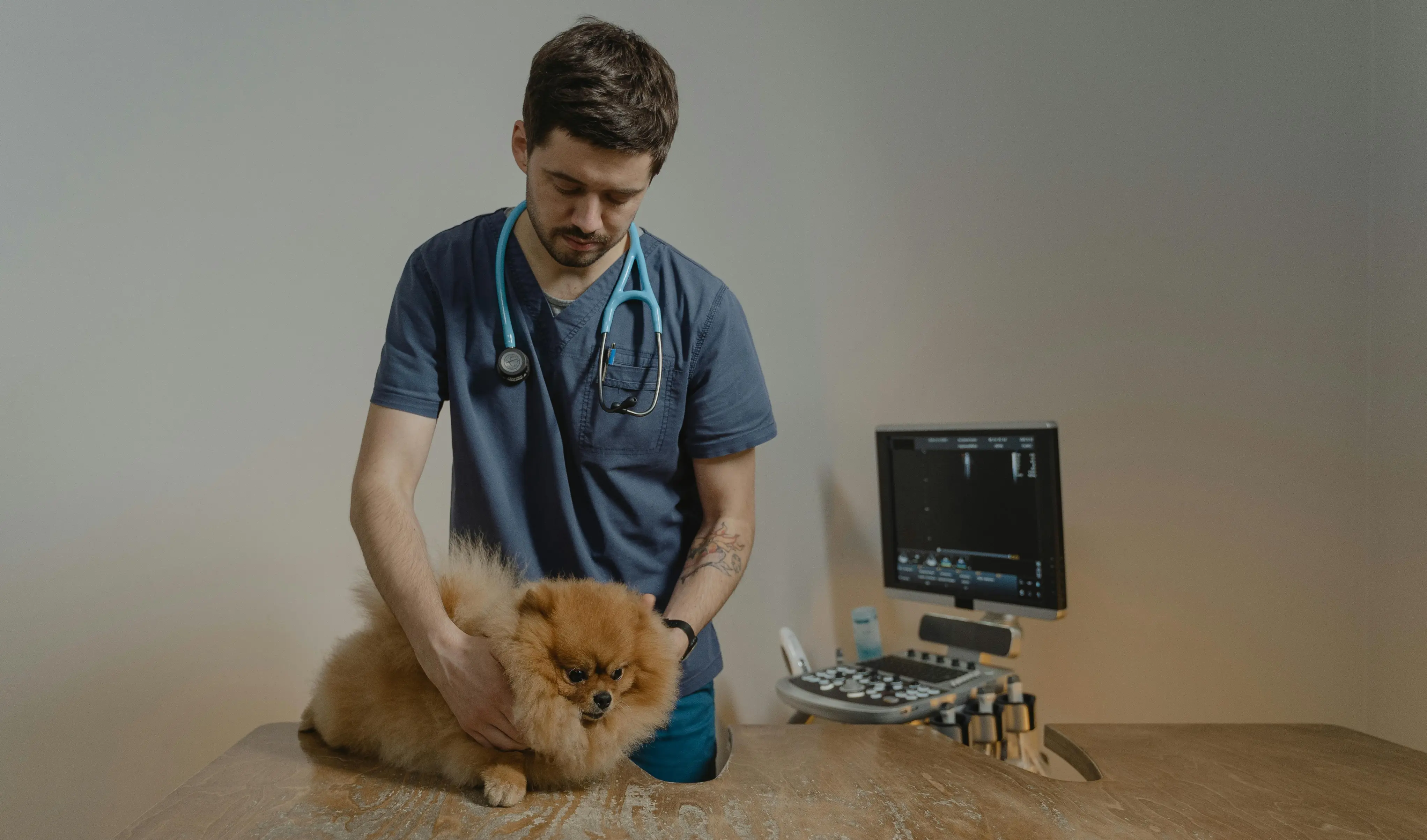 OVMA Classifieds Review With Pricing, Alternatives, and FAQs