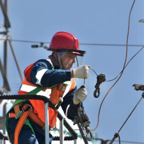Outline the minimum requirements of the role.
