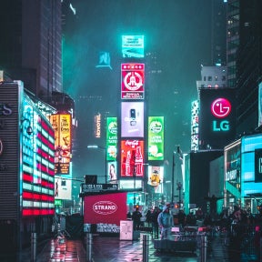 Outline your experience and skills.