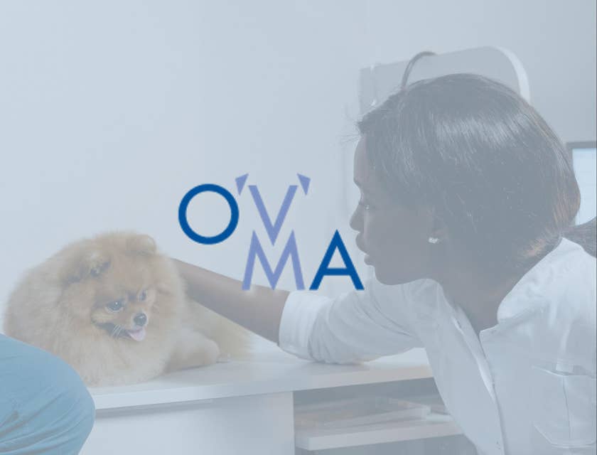 Ontario Veterinary Medical Association