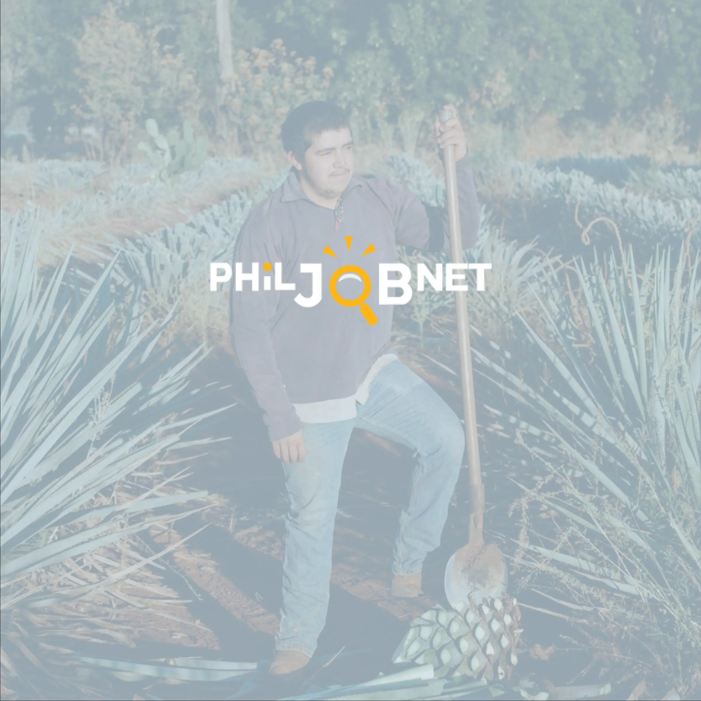 PhilJobNet Review With Pricing, Alternatives, and FAQs