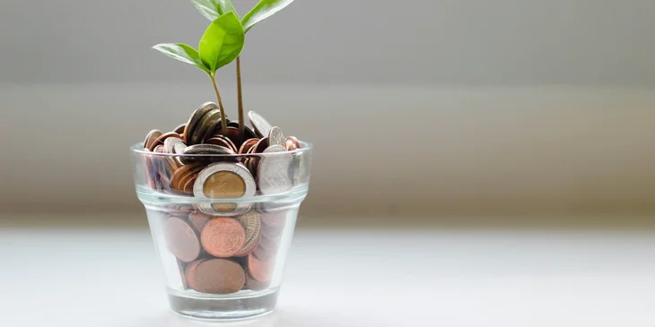 Una maceta de vidrio con monedas de oro de las cuales florece una planta.