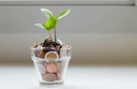 Una maceta de vidrio con monedas de oro de las cuales florece una planta.