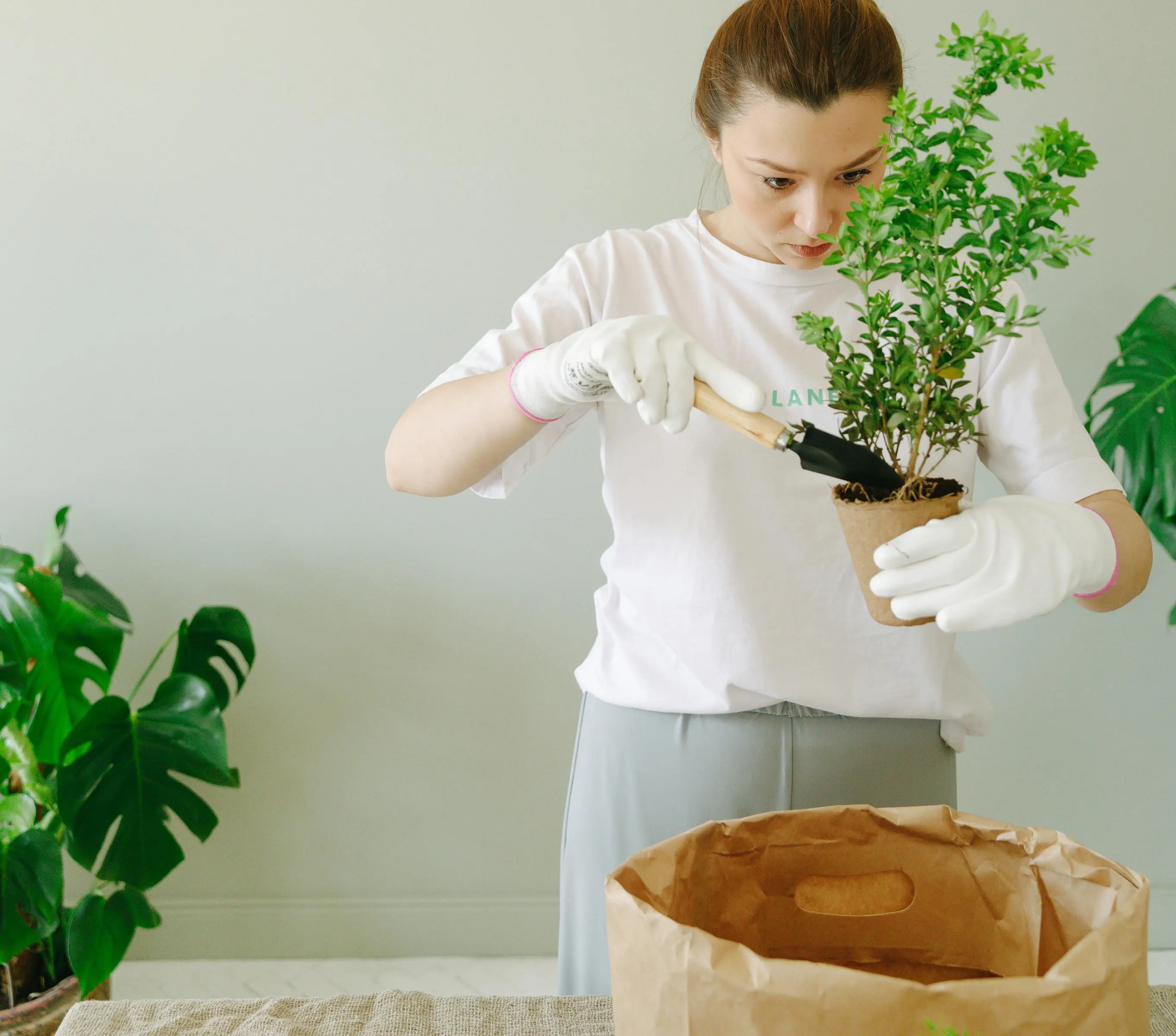 Plantae Career Center Review With Pricing, Alternatives, and FAQs