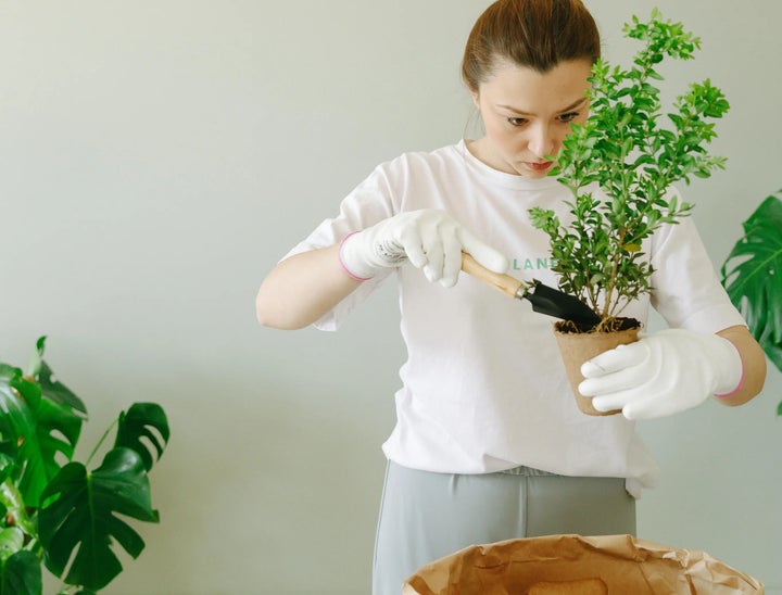 Plantae Career Center Review With Pricing, Alternatives, and FAQs