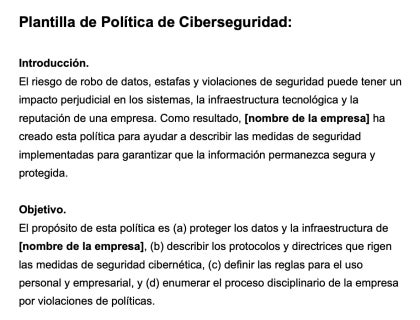 plantilla de política de ciberseguridad