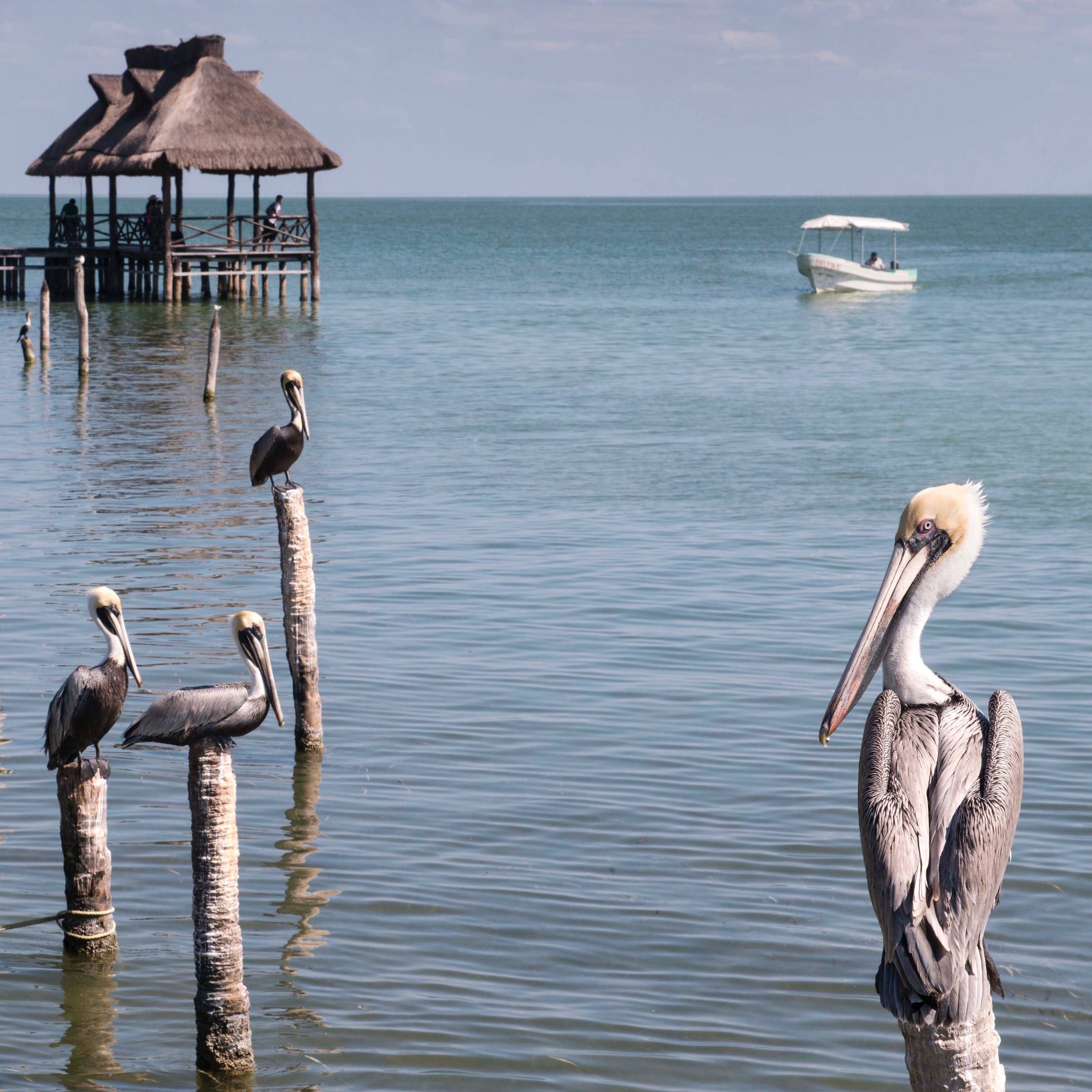 Las mejores bolsas de trabajo en Campeche