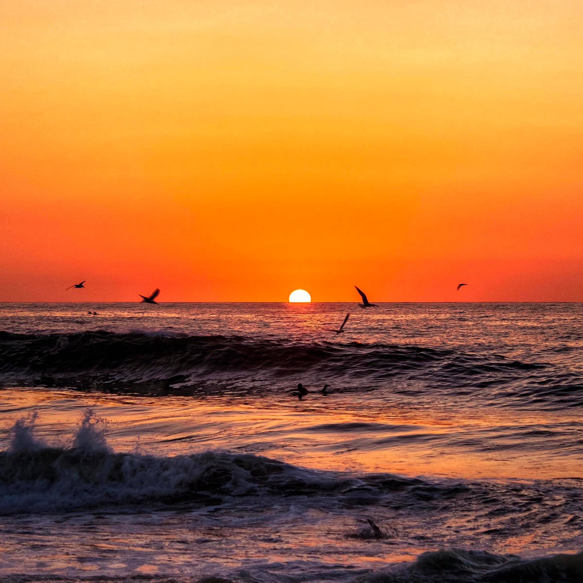 Las mejores bolsas de trabajo en Nayarit