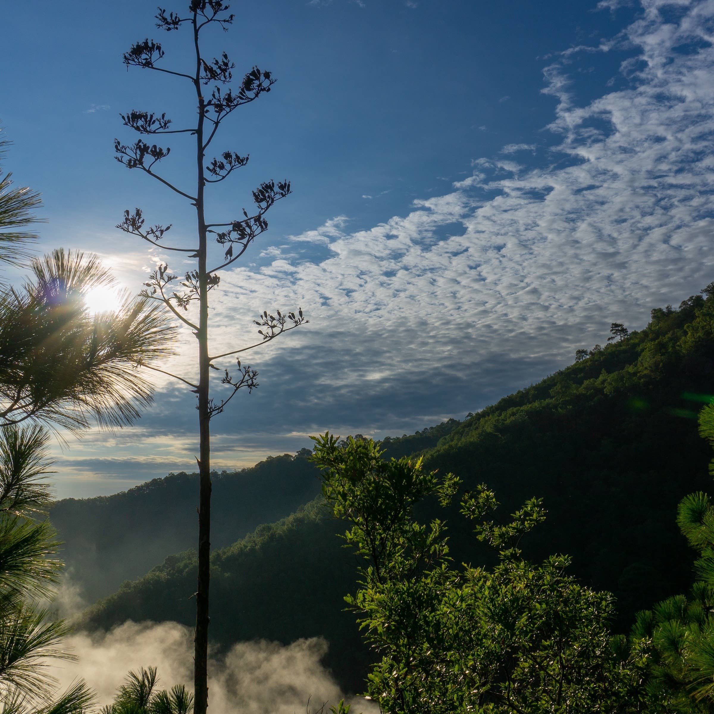 Las mejores bolsas de trabajo en Nuevo León