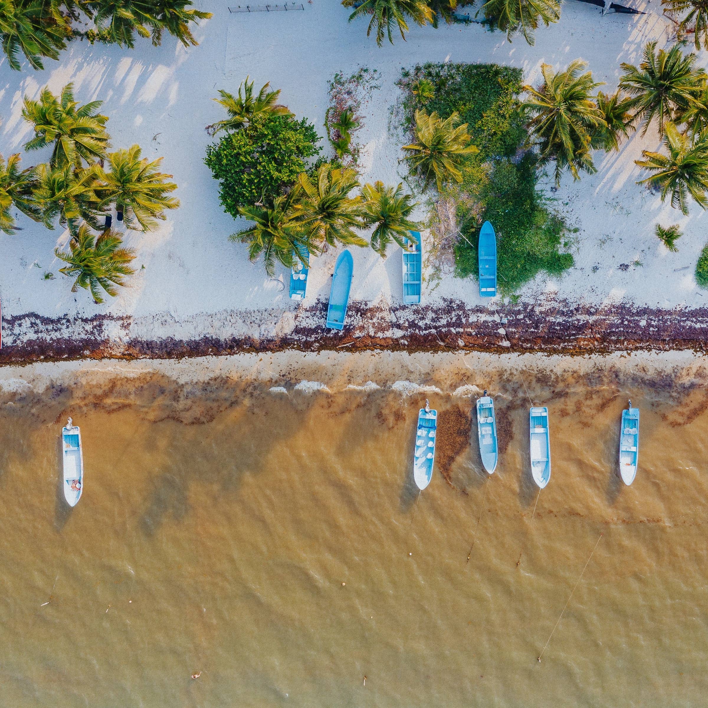 Las mejores bolsas de trabajo en Quintana Roo