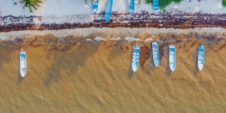 Vista aérea de una playa con palmeras y lanchas en Punta Allen, Quintana Roo.