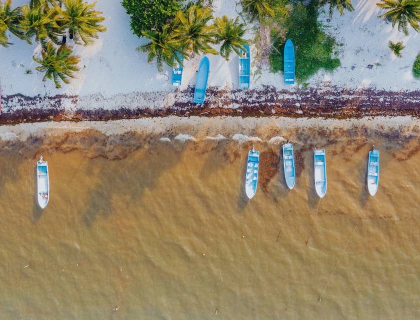 Vista aérea de una playa con palmeras y lanchas en Punta Allen, Quintana Roo.
