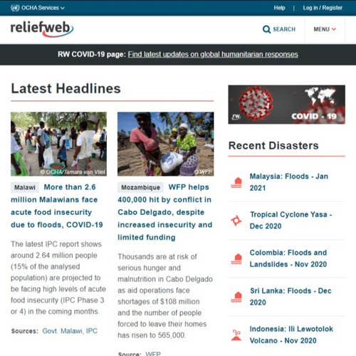 Relief web humanitarian job site