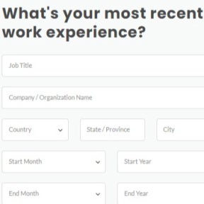 Enter your work experience.