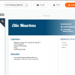 Select a resume format.