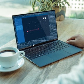 Review their web development portfolio.