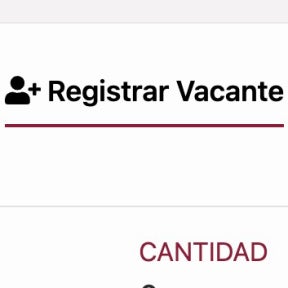 Publica una oferta de trabajo.