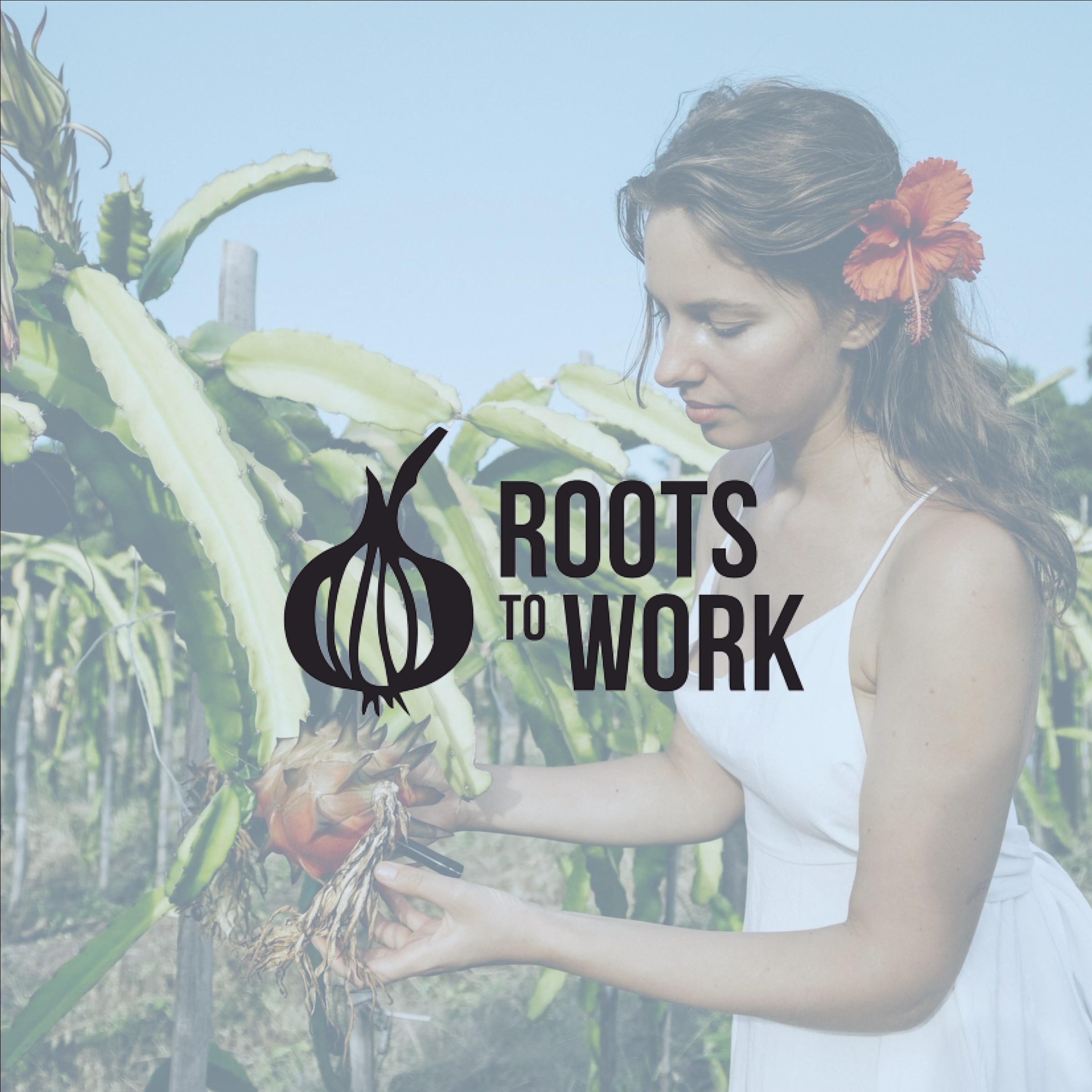 Roots to Work Review With Pricing, Alternatives, and FAQs