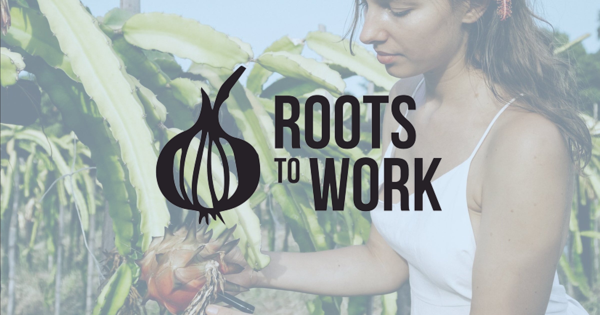 Roots to Work