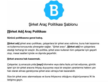 Şirket Araç Politikası