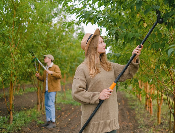 The Best Job Boards for Hiring Seasonal Workers