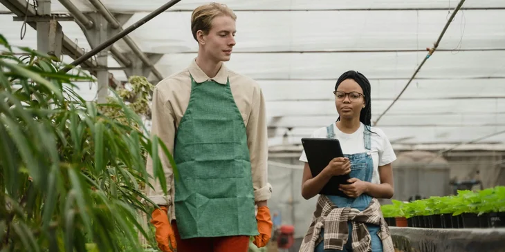 A man and a woman walking inside a greenhouse.