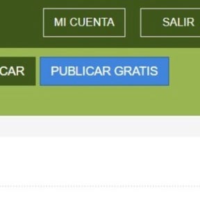 Seleccionar "PUBLICAR GRATIS".