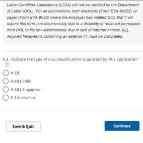 Select the visa classification you are applying for.