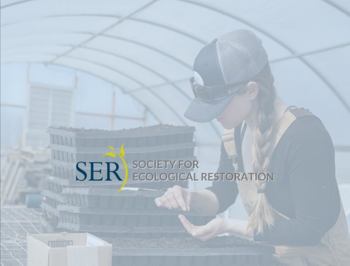 SER Jobs Bulletin Board Review With Pricing, Alternatives, and FAQs