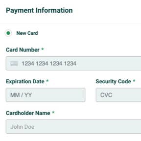 Complete the payment and post your job.