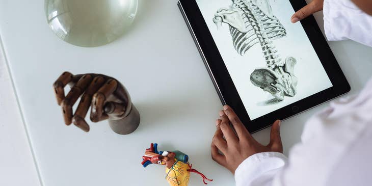 Physician looking at a diagram of the human skeletal system.