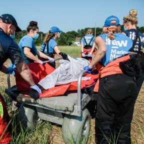 Ask current employees for referrals.