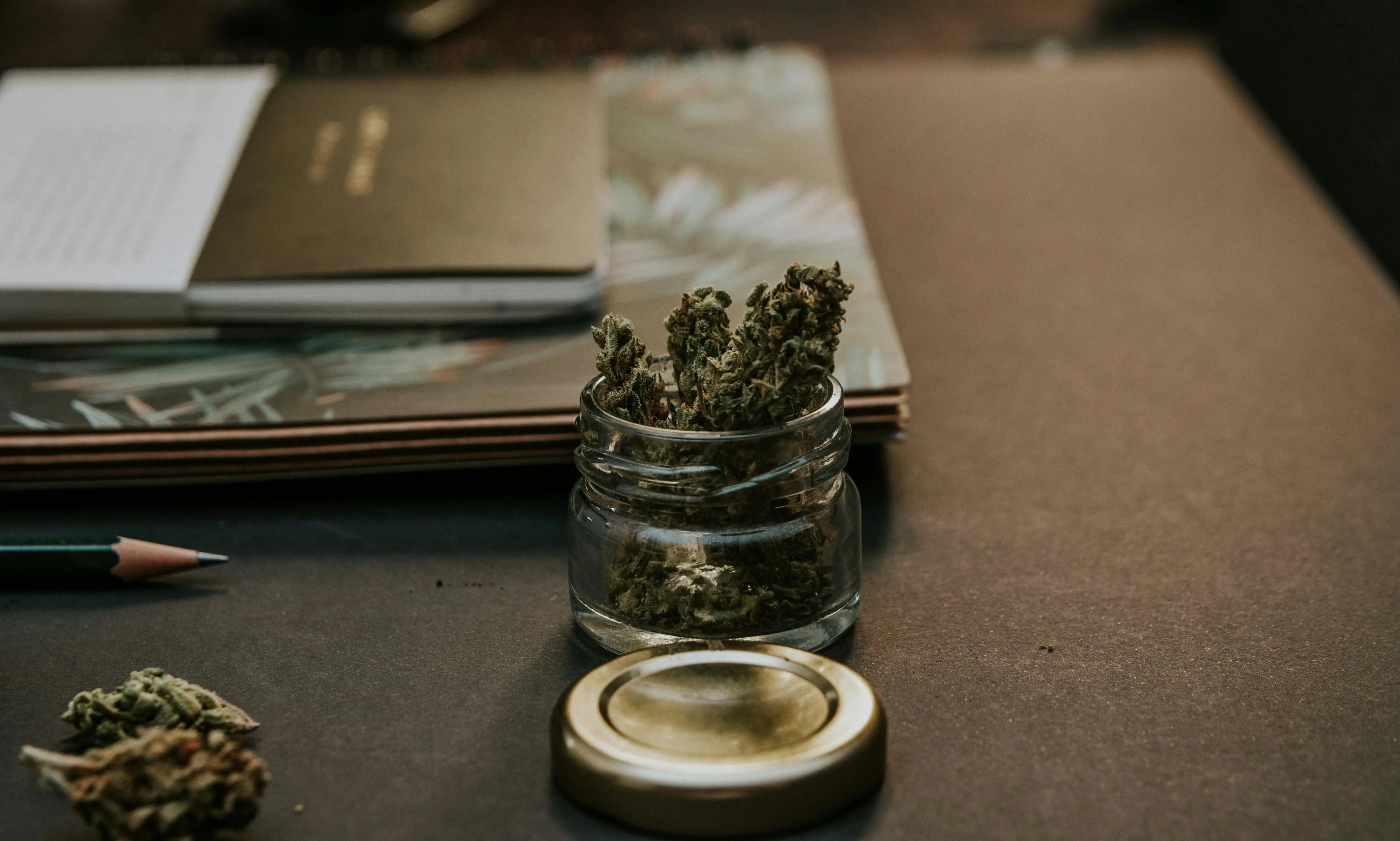 Substance Abuse Policy