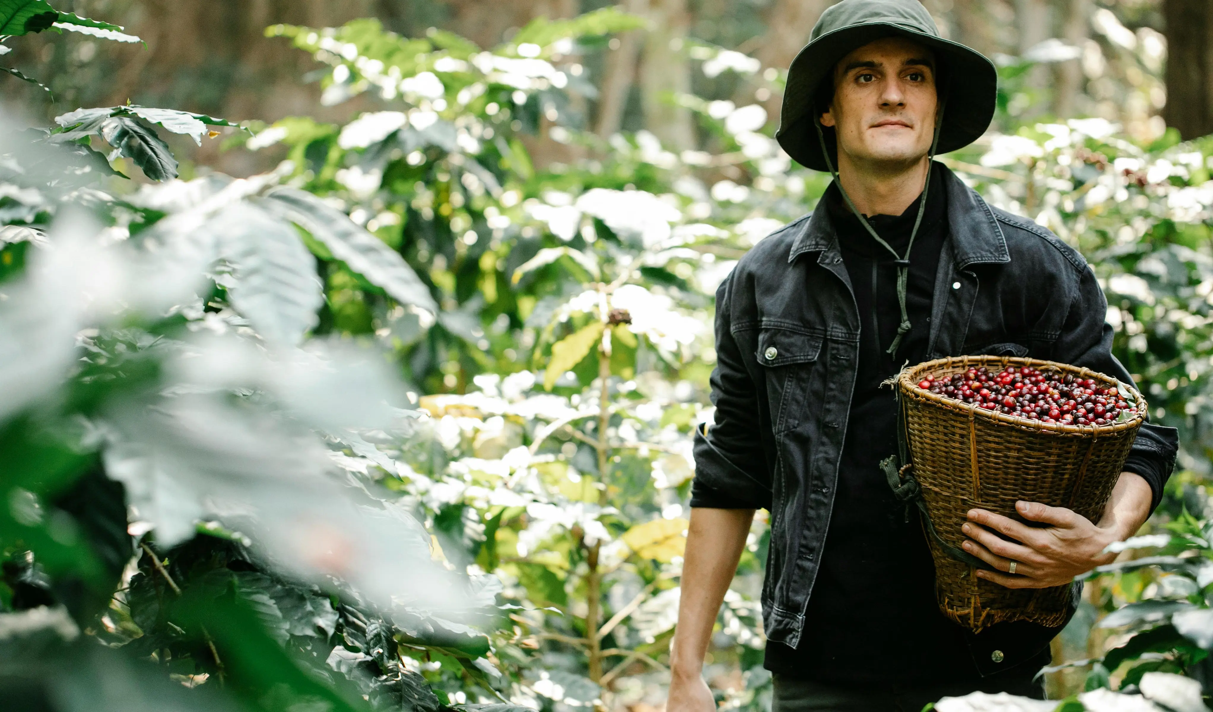 Summer Job Finder Review With Pricing, Alternatives, and FAQs