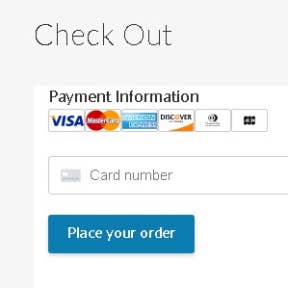 Enter your payment details.