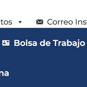 Ingresa al sitio.