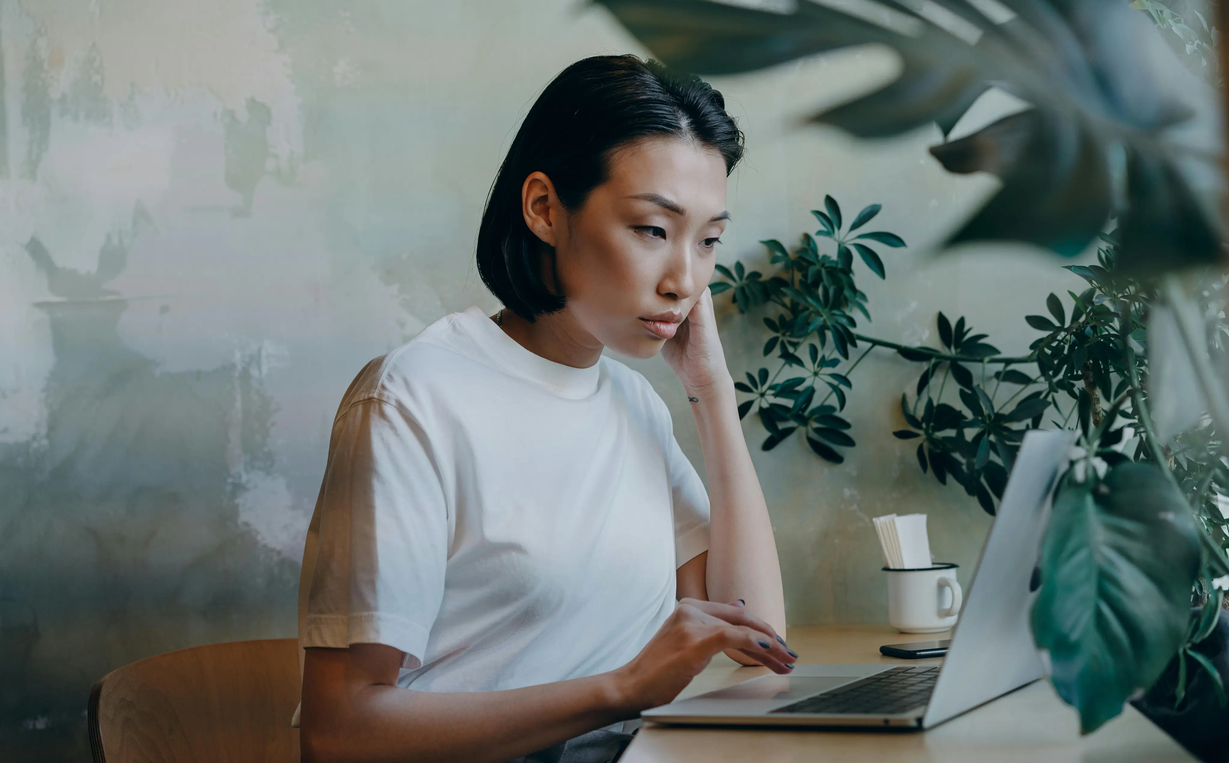 Terra.do Review With Pricing, Alternatives, and FAQs