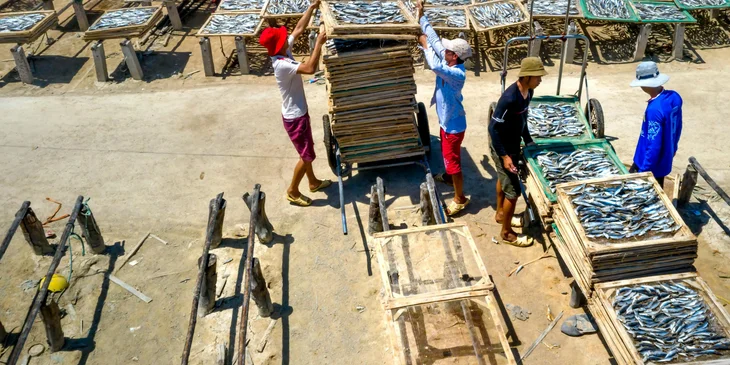 Fishermen working on their catch of the day.