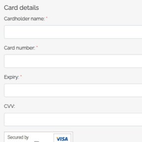 Complete the payment and post your job.