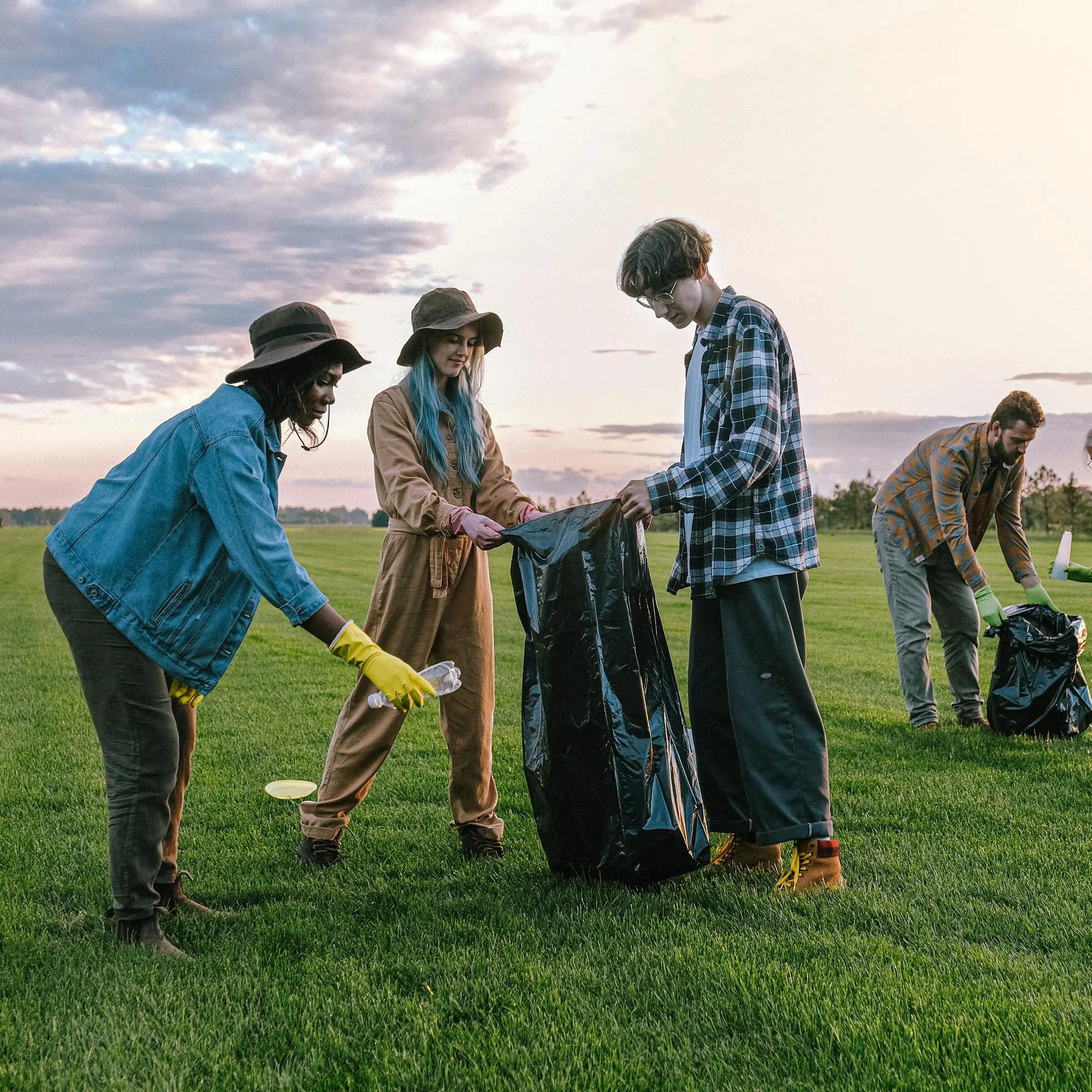 The Impact Job Review With Pricing, Alternatives, and FAQs