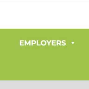 Click on "EMPLOYERS."