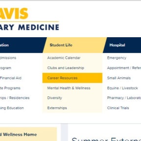 Click on "Career Resources."