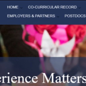 Click on the "EMPLOYERS & PARTNERS" button.