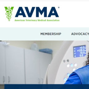 Post your job ad on the right job boards.