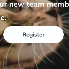 Navigate to the Veterinary Jobs Marketplace home page.