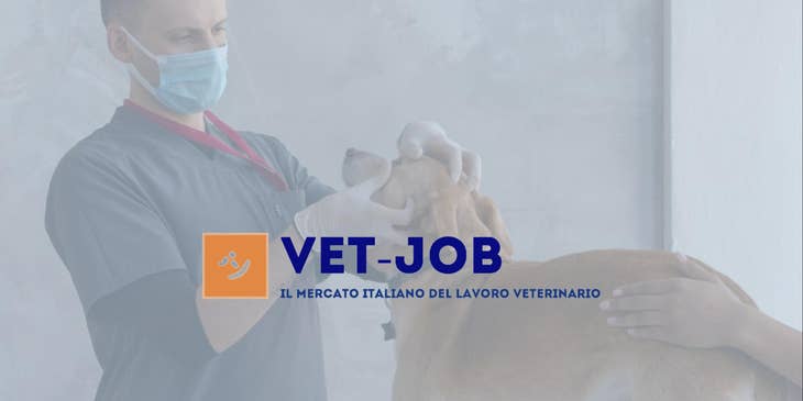 Logo VET-JOB.