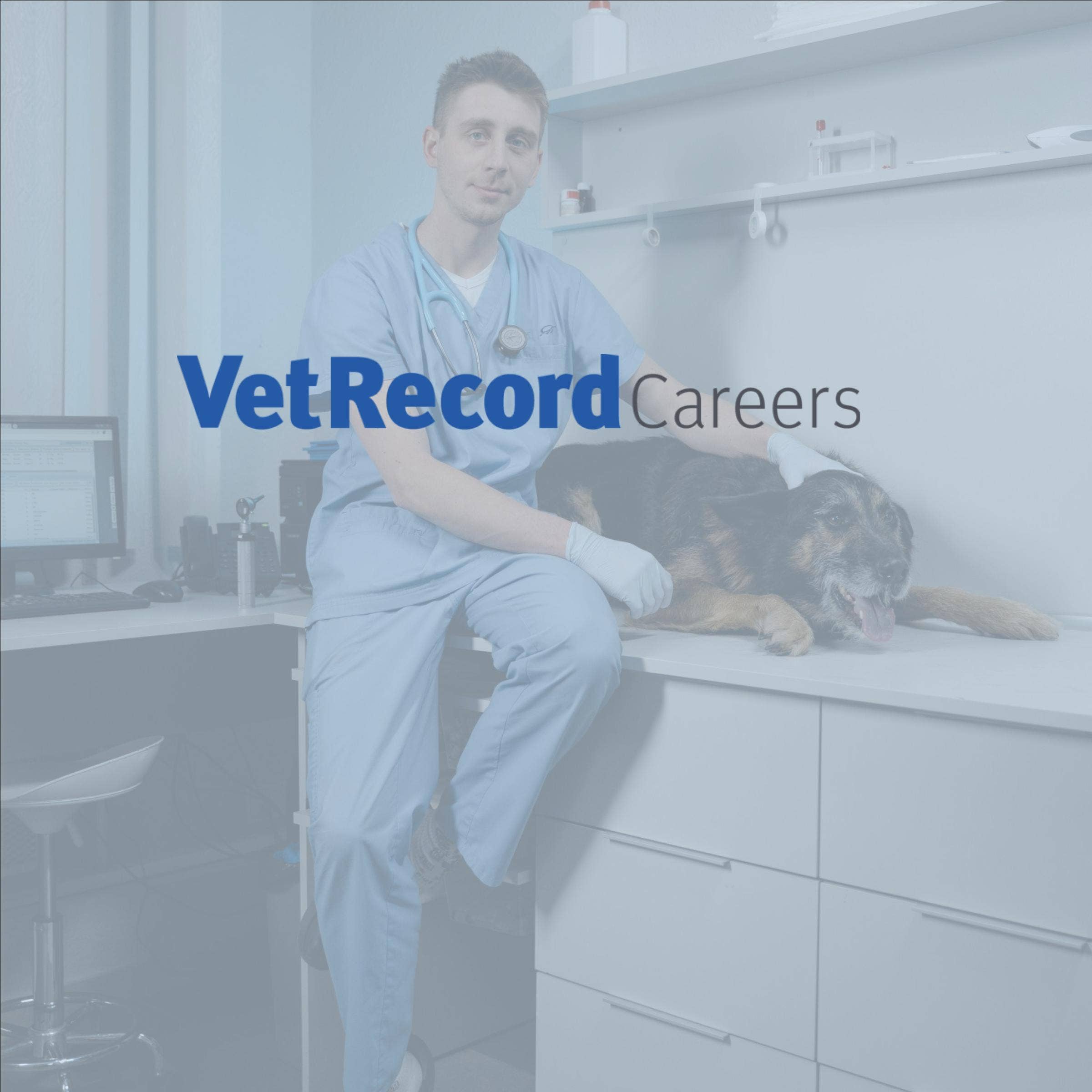 Vet Record Careers Review With Pricing, Alternatives, and FAQs