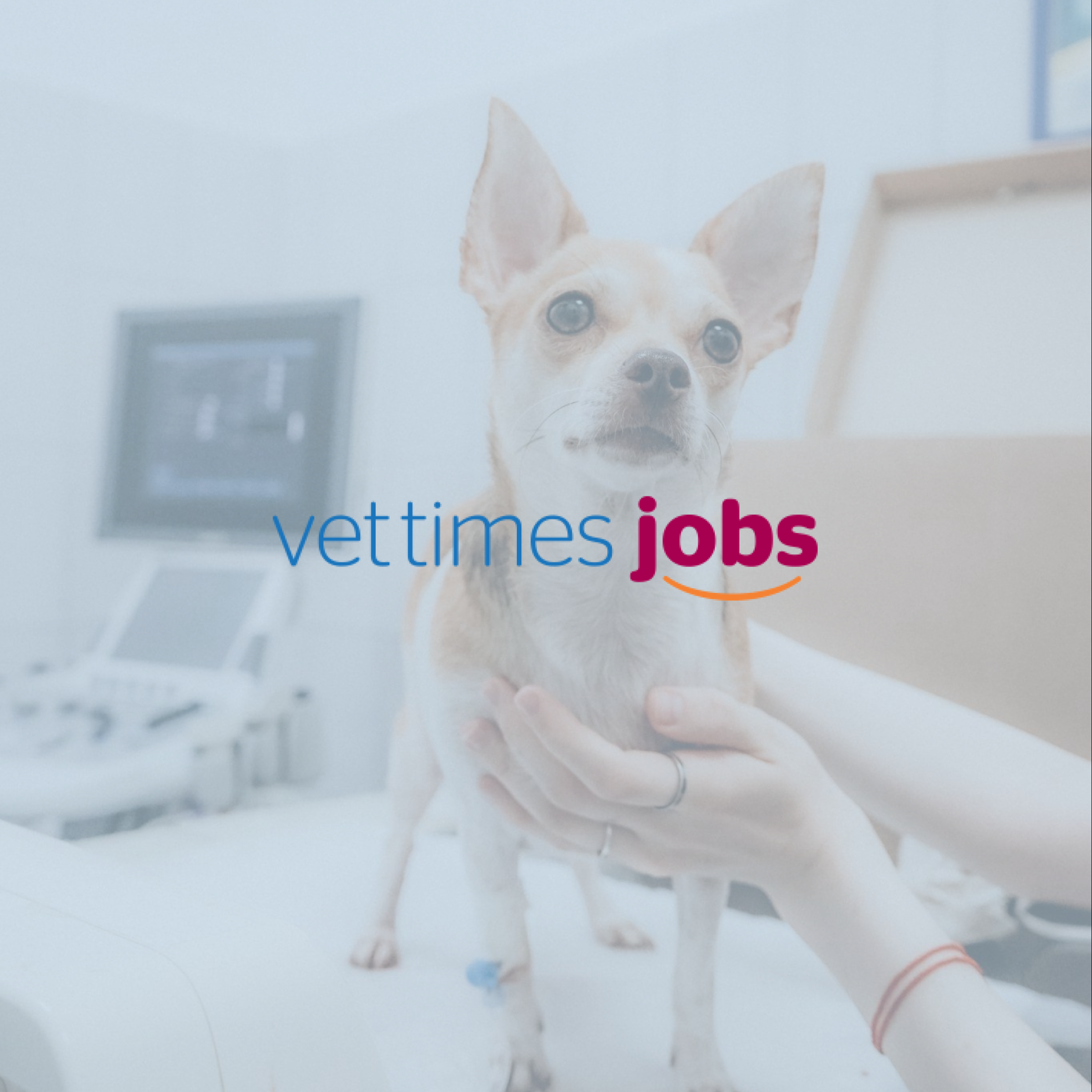 Vet Times Jobs