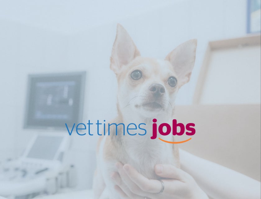 Vet Times Jobs logo.